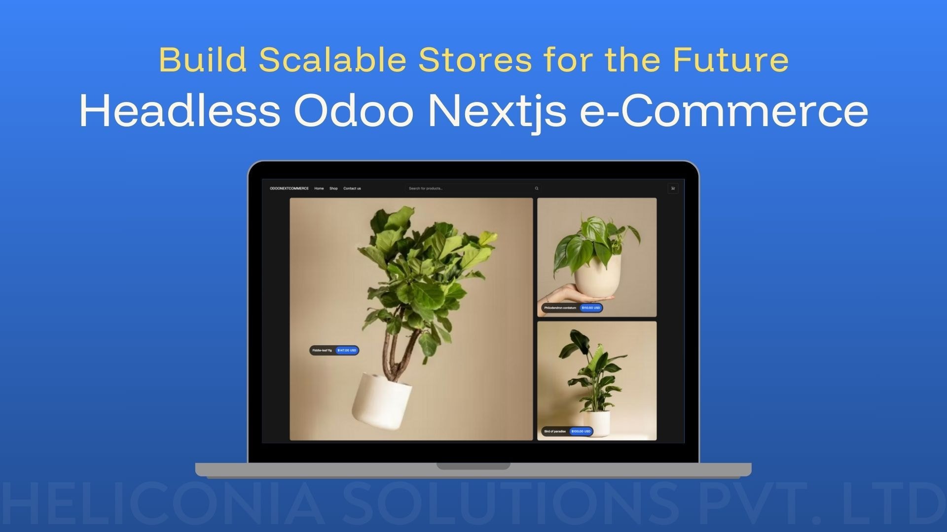 blog-headless-odoo-nextjs-e-Commerce